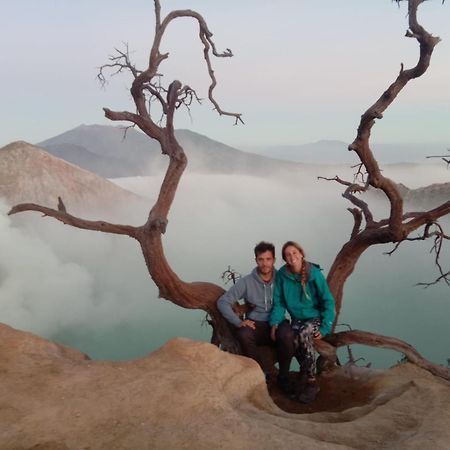 Thalia Homestay & Ijen Bromo Tour 外南梦 外观 照片