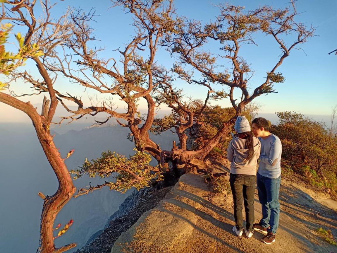Thalia Homestay & Ijen Bromo Tour 外南梦 外观 照片