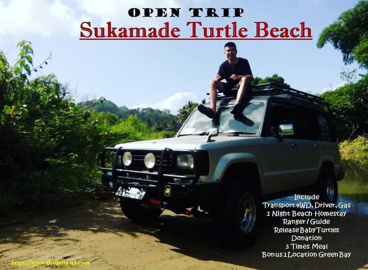 Thalia Homestay & Ijen Bromo Tour 外南梦 外观 照片