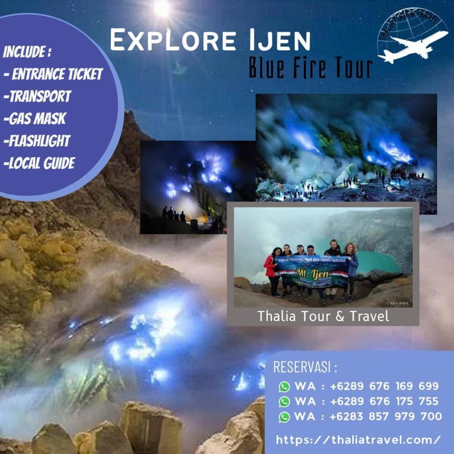 Thalia Homestay & Ijen Bromo Tour 外南梦 外观 照片