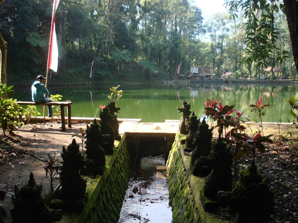 Thalia Homestay & Ijen Bromo Tour 外南梦 外观 照片