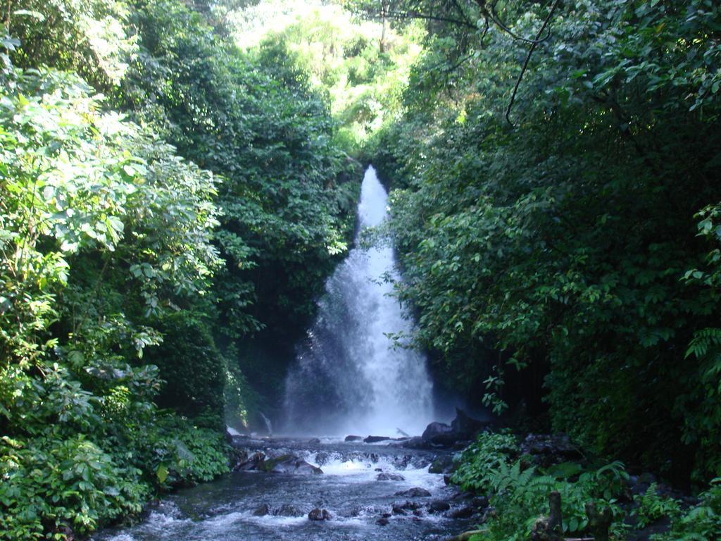 Thalia Homestay & Ijen Bromo Tour 外南梦 外观 照片