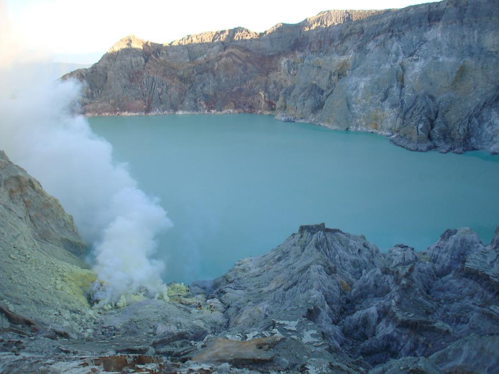 Thalia Homestay & Ijen Bromo Tour 外南梦 外观 照片