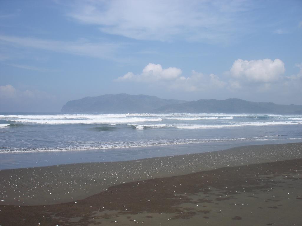 Thalia Homestay & Ijen Bromo Tour 外南梦 外观 照片