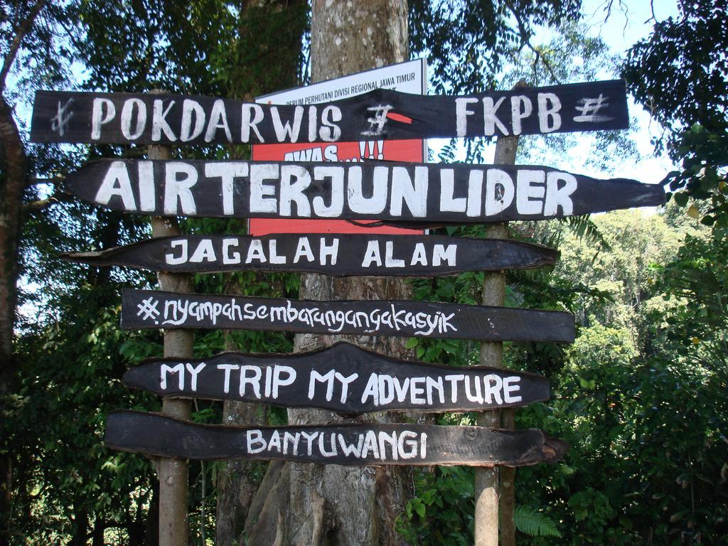 Thalia Homestay & Ijen Bromo Tour 外南梦 外观 照片