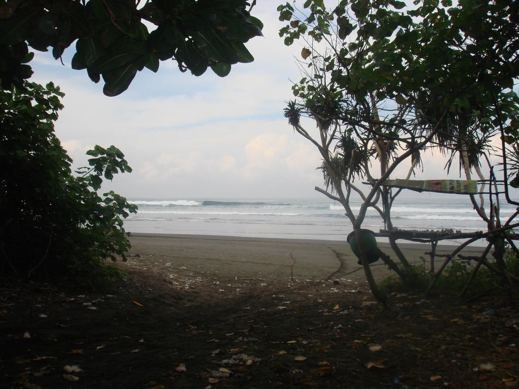 Thalia Homestay & Ijen Bromo Tour 外南梦 外观 照片