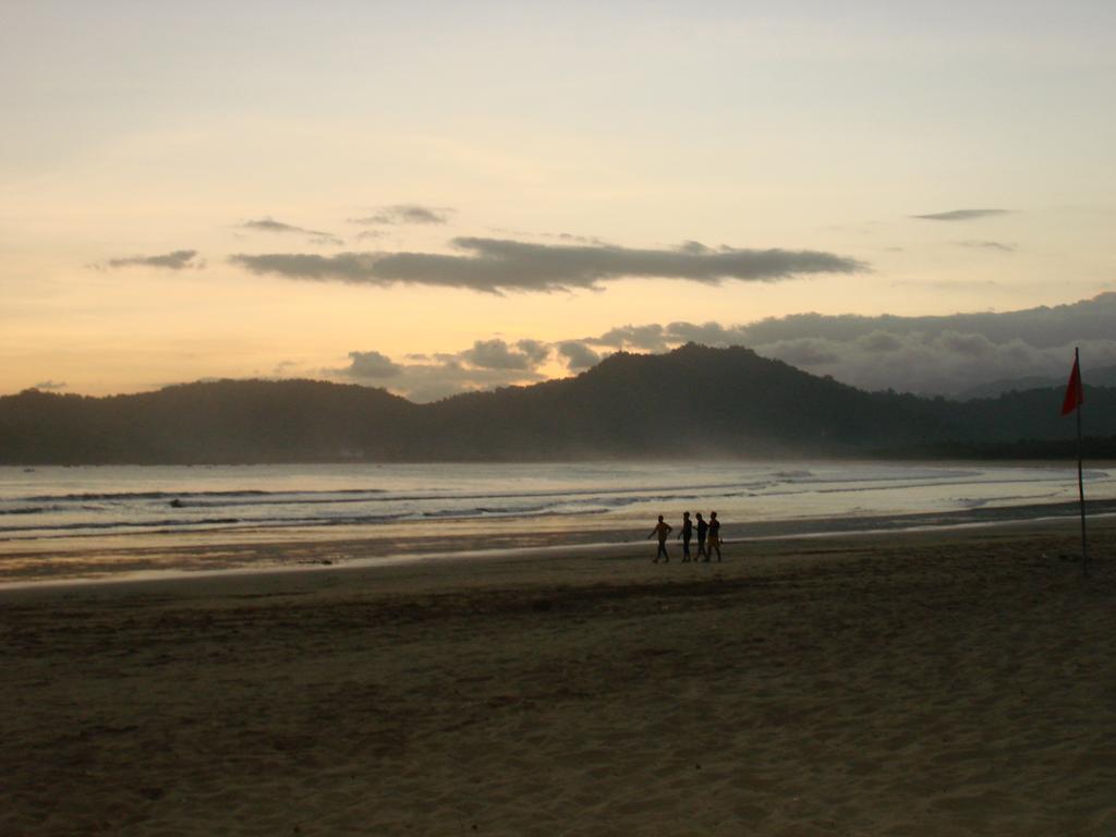 Thalia Homestay & Ijen Bromo Tour 外南梦 外观 照片