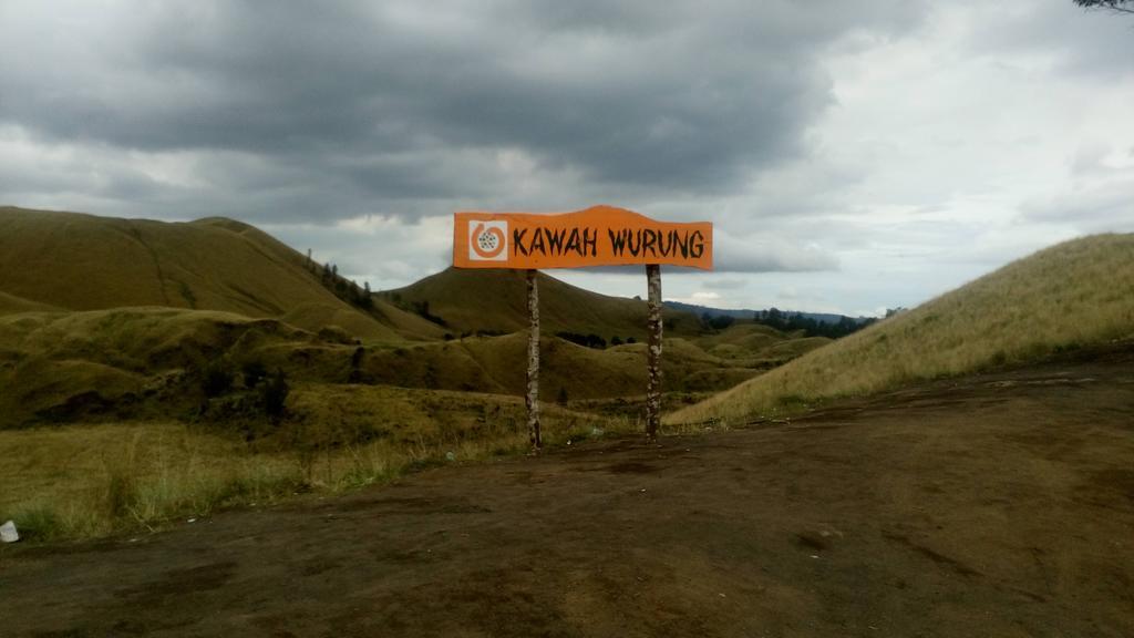 Thalia Homestay & Ijen Bromo Tour 外南梦 外观 照片
