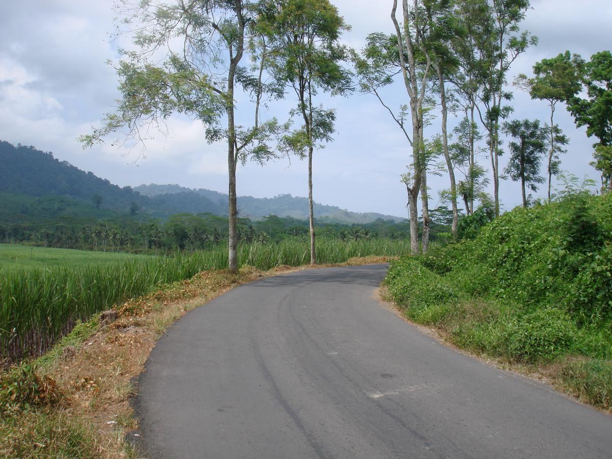 Thalia Homestay & Ijen Bromo Tour 外南梦 外观 照片