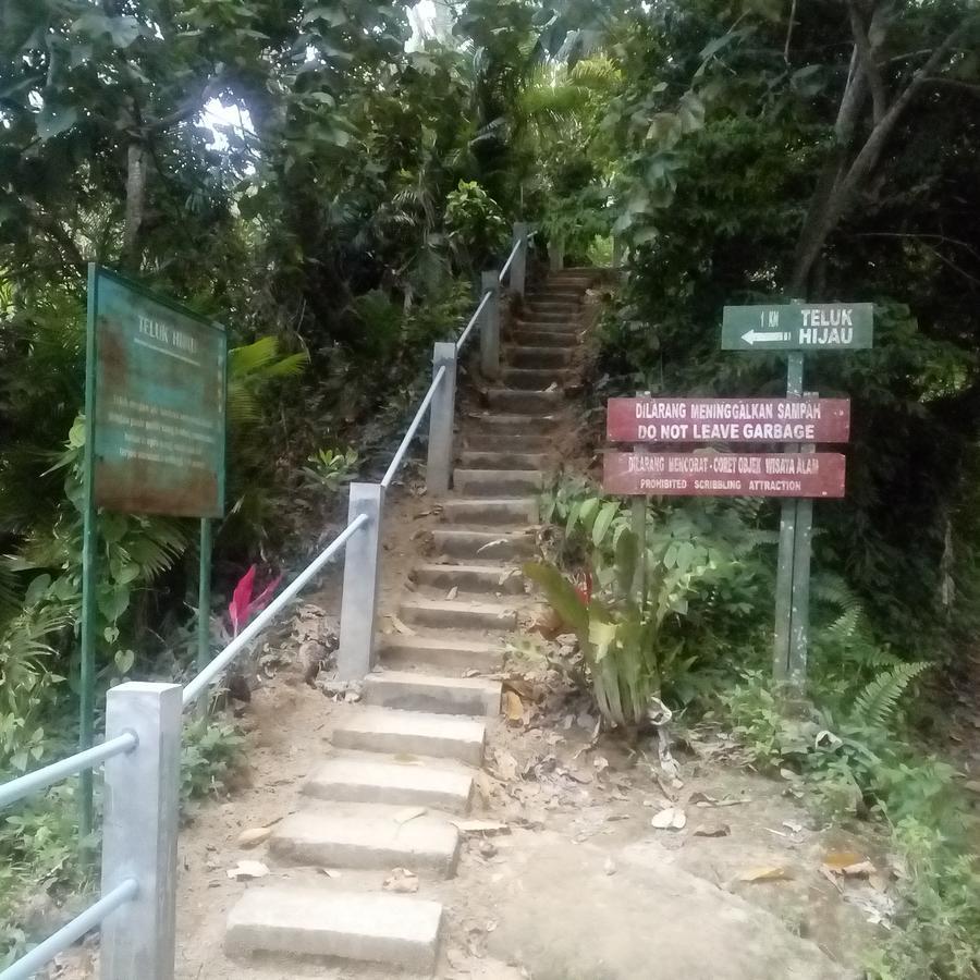 Thalia Homestay & Ijen Bromo Tour 外南梦 外观 照片