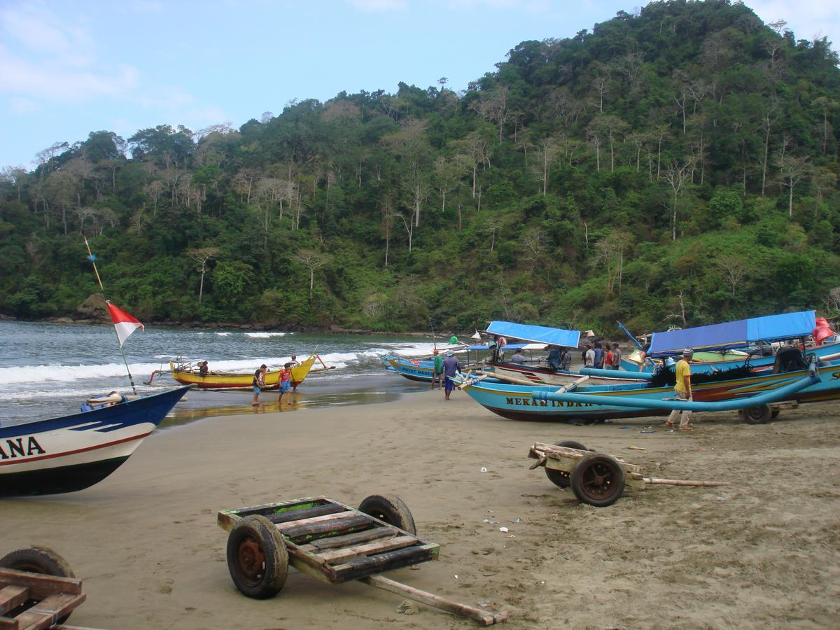 Thalia Homestay & Ijen Bromo Tour 外南梦 外观 照片