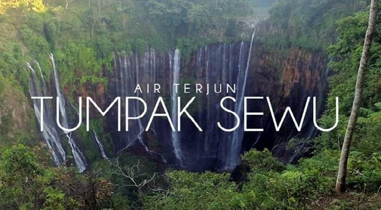Thalia Homestay & Ijen Bromo Tour 外南梦 外观 照片